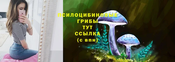 ПСИЛОЦИБИНОВЫЕ ГРИБЫ Няндома