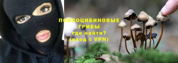 ALPHA PVP Ветлуга