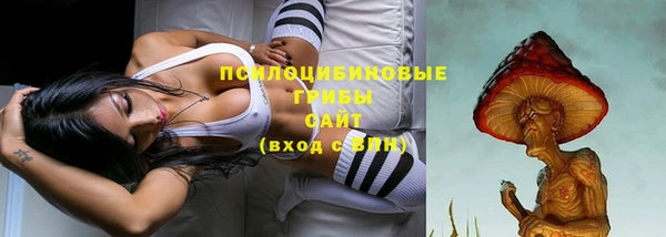 ECSTASY Осинники