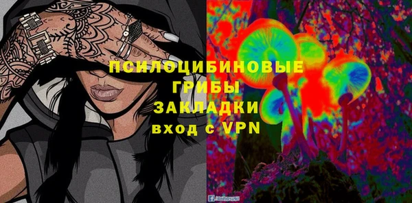 не бодяженный Весьегонск