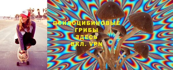 ПСИЛОЦИБИНОВЫЕ ГРИБЫ Няндома