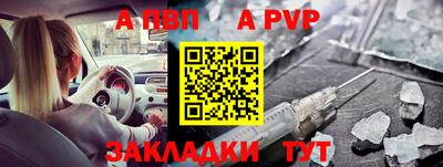 стафф Славгород