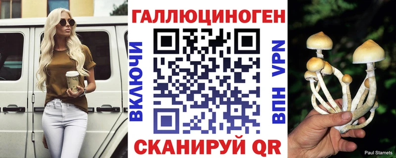 Псилоцибиновые грибы мицелий  кракен сайт  Сокол  наркота 