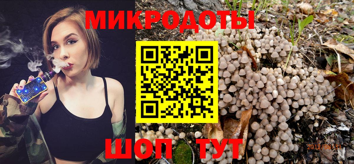 Галлюциногенные грибы Psilocybine cubensis  Вход с VPN  Сокол 